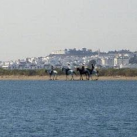 Верховая езда Isla Canela, Ayamonte