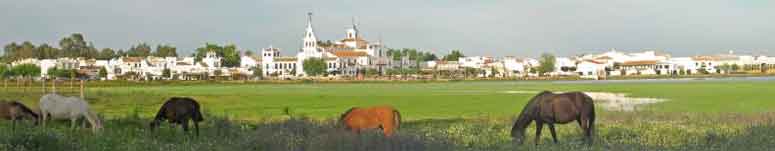 cabecera6