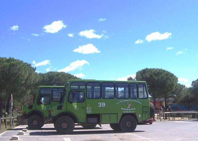 Excursión en Doñana 4×4 «Zona Sur y Playa»